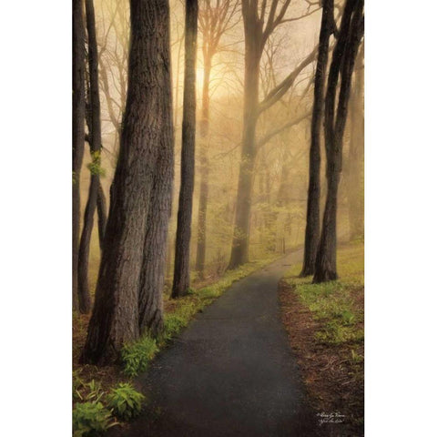After the Rain Black Modern Wood Framed Art Print by Vieira, Robin-Lee
