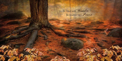 Wonder White Modern Wood Framed Art Print with Double Matting by Vieira, Robin-Lee