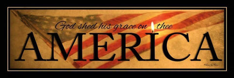 America Black Ornate Wood Framed Art Print with Double Matting by Vieira, Robin-Lee