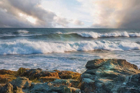 The Clearing Black Ornate Wood Framed Art Print with Double Matting by Vieira, Robin-Lee