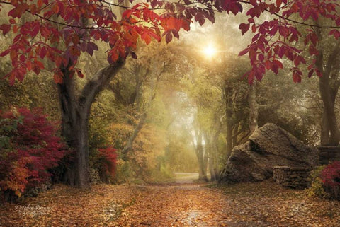 October Dreams White Modern Wood Framed Art Print with Double Matting by Vieira, Robin-Lee