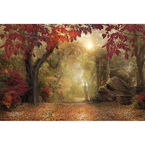 October Dreams Black Modern Wood Framed Art Print by Vieira, Robin-Lee