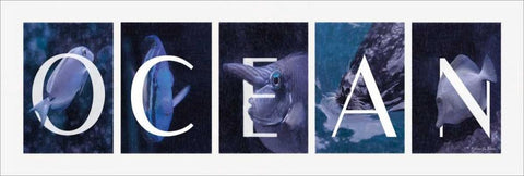 Ocean White Modern Wood Framed Art Print with Double Matting by Vieira, Robin-Lee