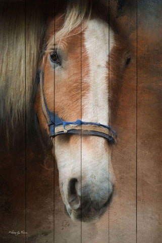 Blaze White Modern Wood Framed Art Print with Double Matting by Vieira, Robin-Lee
