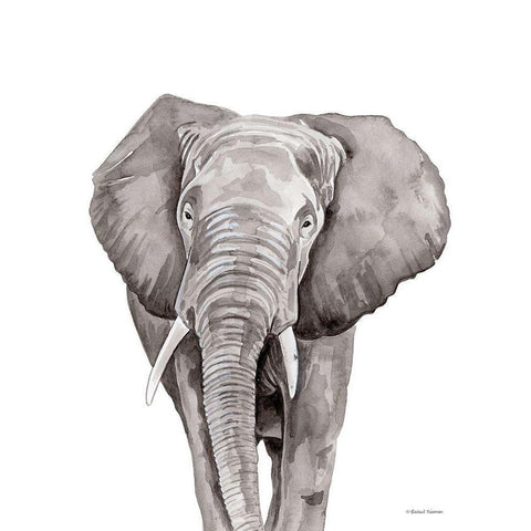 Safari Elephant Peek-a-boo Black Modern Wood Framed Art Print by Nieman, Rachel
