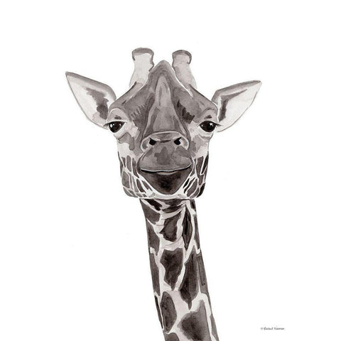 Safari Giraffe Peek-a-boo Black Modern Wood Framed Art Print with Double Matting by Nieman, Rachel