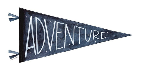 Adventure Pennant White Modern Wood Framed Art Print with Double Matting by Nieman, Rachel