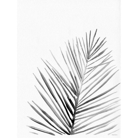 Organic Botanical I   White Modern Wood Framed Art Print by Nieman, Rachel