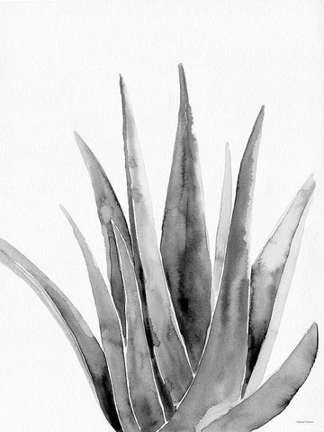Organic Botanical II    White Modern Wood Framed Art Print with Double Matting by Nieman, Rachel
