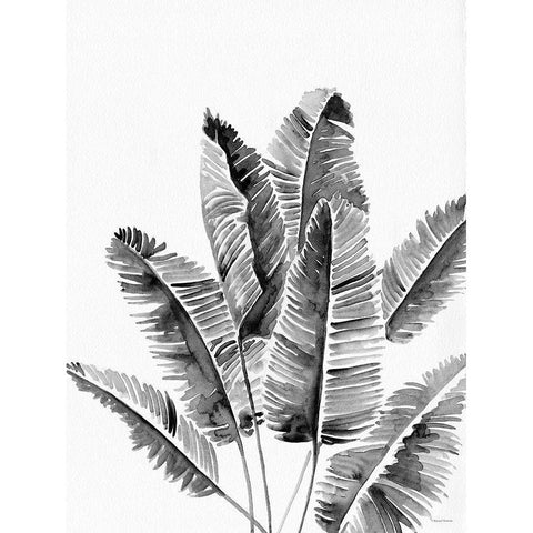 Organic Botanical III   Black Modern Wood Framed Art Print with Double Matting by Nieman, Rachel