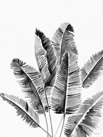 Organic Botanical III   Black Ornate Wood Framed Art Print with Double Matting by Nieman, Rachel