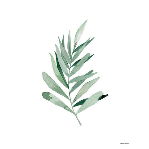 Watercolor Botanical I Black Modern Wood Framed Art Print with Double Matting by Nieman, Rachel