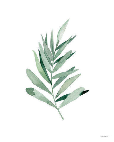 Watercolor Botanical I White Modern Wood Framed Art Print with Double Matting by Nieman, Rachel