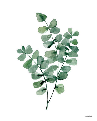 Watercolor Botanical II White Modern Wood Framed Art Print with Double Matting by Nieman, Rachel