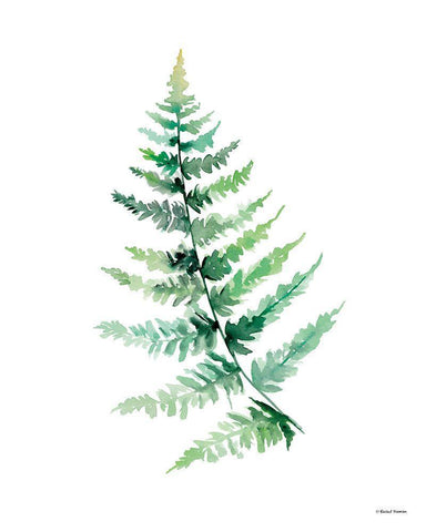 Watercolor Botanical III White Modern Wood Framed Art Print with Double Matting by Nieman, Rachel