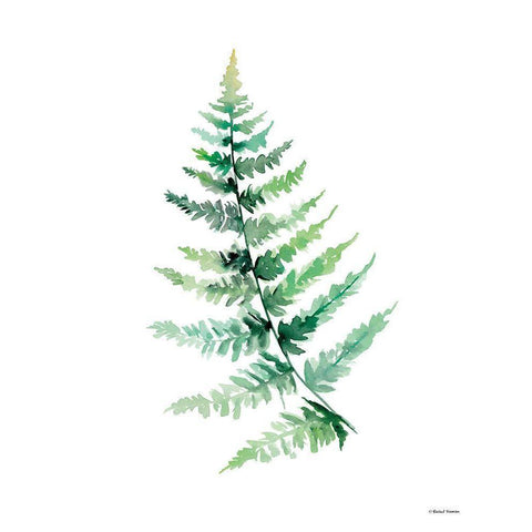 Watercolor Botanical III Black Modern Wood Framed Art Print by Nieman, Rachel