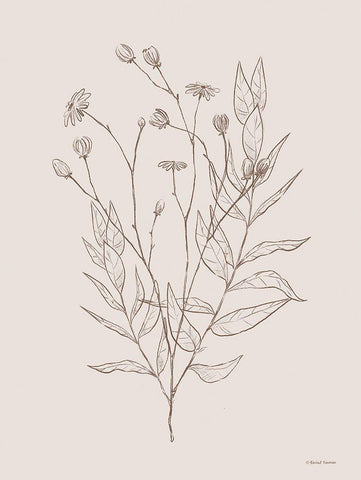 Wildflower Drawing White Modern Wood Framed Art Print with Double Matting by Nieman, Rachel