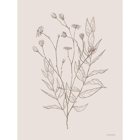 Wildflower Drawing Gold Ornate Wood Framed Art Print with Double Matting by Nieman, Rachel