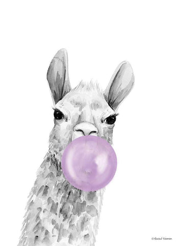 Bubblegum Alpaca White Modern Wood Framed Art Print with Double Matting by Nieman, Rachel