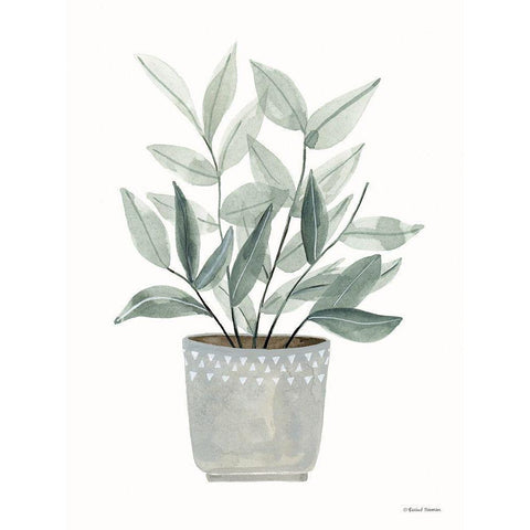 Sage Planter White Modern Wood Framed Art Print by Nieman, Rachel