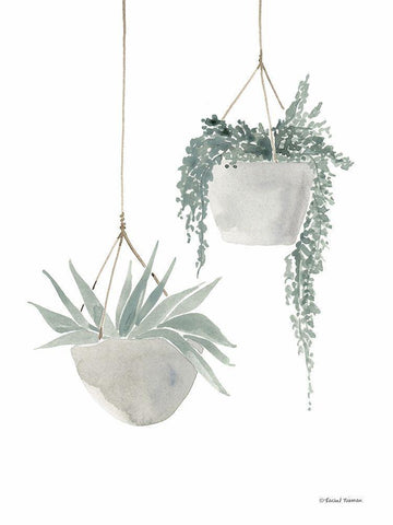 Sage Hanging Planters White Modern Wood Framed Art Print with Double Matting by Nieman, Rachel