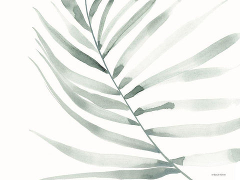 Sage Fern Leaf Black Ornate Wood Framed Art Print with Double Matting by Nieman, Rachel