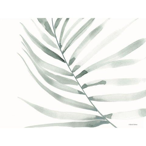 Sage Fern Leaf Black Modern Wood Framed Art Print with Double Matting by Nieman, Rachel