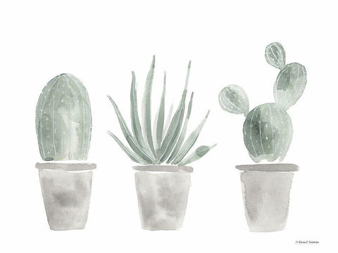 Sage Cactus Trio White Modern Wood Framed Art Print with Double Matting by Nieman, Rachel