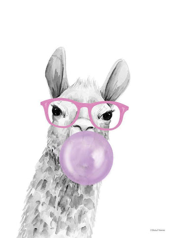 Bubble Gum Alpaca White Modern Wood Framed Art Print with Double Matting by Nieman, Rachel