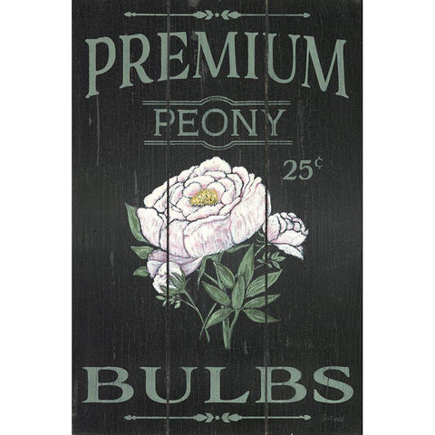 Peony Blubs White Modern Wood Framed Art Print by Soulspeak And Sawdust
