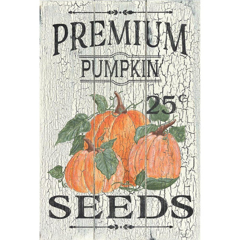 Pumpkin Seeds White Modern Wood Framed Art Print by Soulspeak And Sawdust