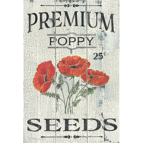 Poppy Seeds Black Modern Wood Framed Art Print with Double Matting by Soulspeak And Sawdust