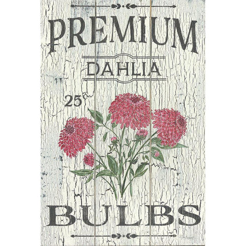 Dahlia Bulbs White Modern Wood Framed Art Print by Soulspeak And Sawdust