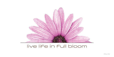 Live Life in Full Bloom White Modern Wood Framed Art Print with Double Matting by Ball, Susan