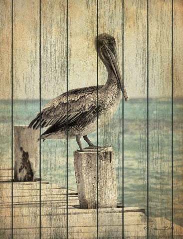 Vintage Pelican I  Black Ornate Wood Framed Art Print with Double Matting by Ball, Susan