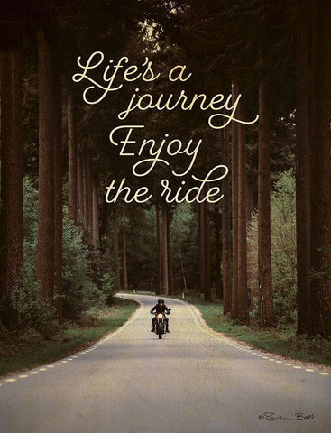 Lifes a Journey White Modern Wood Framed Art Print with Double Matting by Ball, Susan