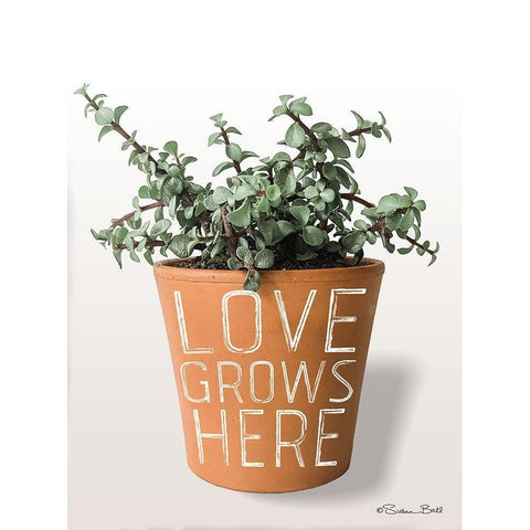 Succulent Love Grows Here Black Modern Wood Framed Art Print by Ball, Susan