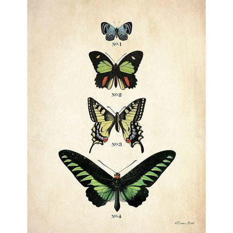 Butterflies 1     Black Modern Wood Framed Art Print by Ball, Susan