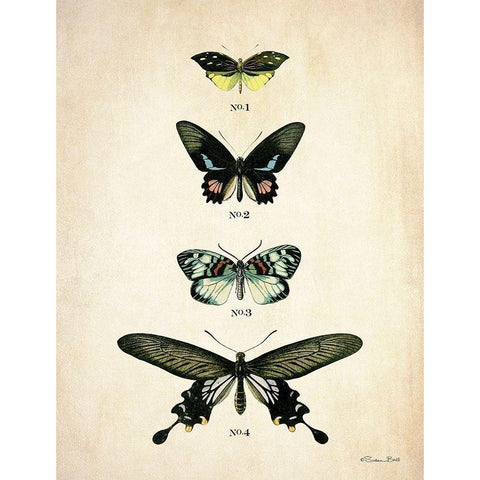 Butterflies 3      Black Modern Wood Framed Art Print by Ball, Susan