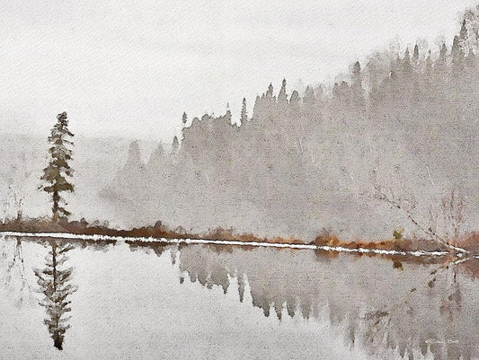 Image Only
