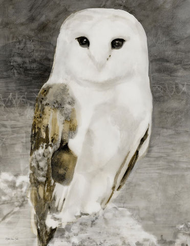 Snowy Owl 1 Black Modern Wood Framed Art Print by Stellar Design Studio