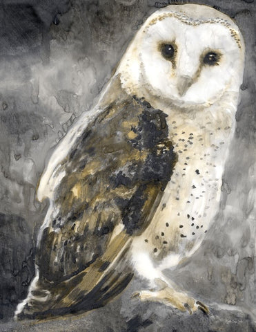 Snowy Owl 2 Black Ornate Wood Framed Art Print with Double Matting by Stellar Design Studio