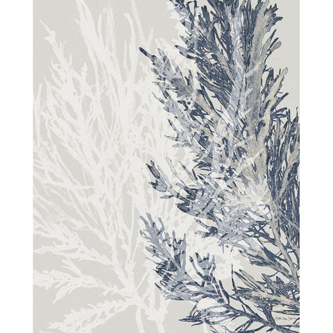 Transparent Coral 1 White Modern Wood Framed Art Print by Stellar Design Studio