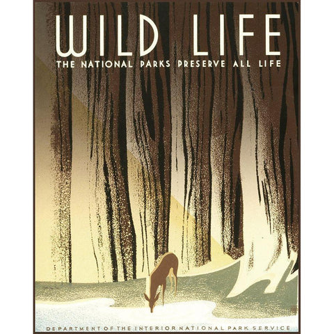 Wild Life Black Modern Wood Framed Art Print with Double Matting by Stellar Design Studio