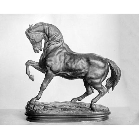 Roman Horse Statue 2 White Modern Wood Framed Art Print by Stellar Design Studio