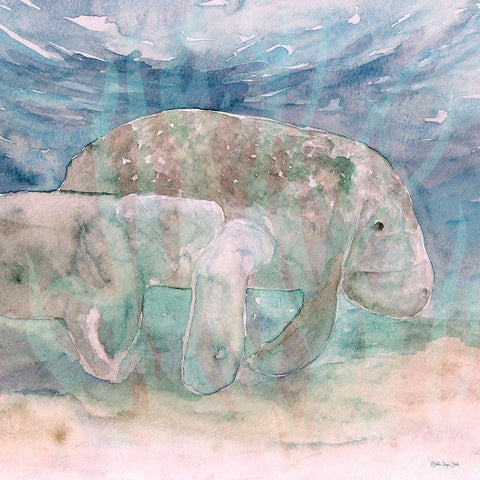 Mother Manatee and Calf   White Modern Wood Framed Art Print with Double Matting by Stellar Design Studio