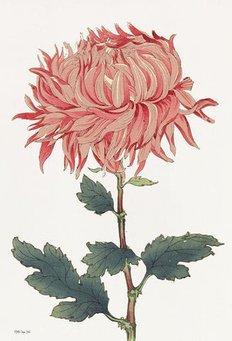 Pink Floral 4  Black Ornate Wood Framed Art Print with Double Matting by Stellar Design Studio