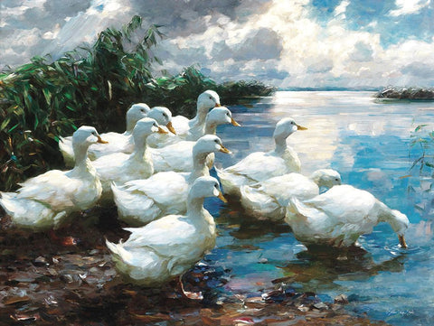 Ducks by the Lake 1 White Modern Wood Framed Art Print with Double Matting by Stellar Design Studio