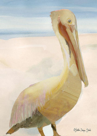 Pelican 1 White Modern Wood Framed Art Print with Double Matting by Stellar Design Studio