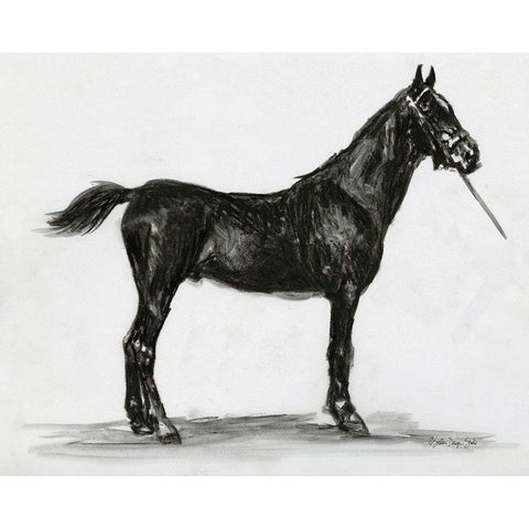 Horse Study 3 Black Modern Wood Framed Art Print with Double Matting by Stellar Design Studio